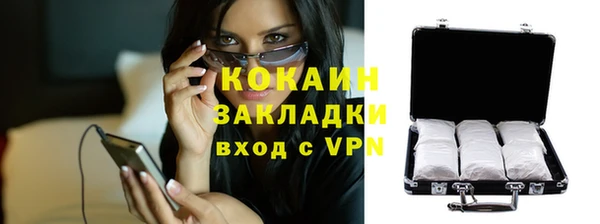 шишки Кодинск