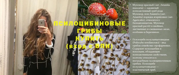 бошки Козельск