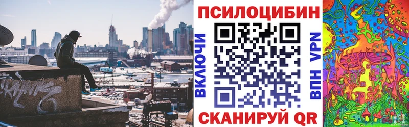 цены   MEGA   Псилоцибиновые грибы Psilocybe  Бузулук 